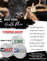 Beef Herd Health Plan